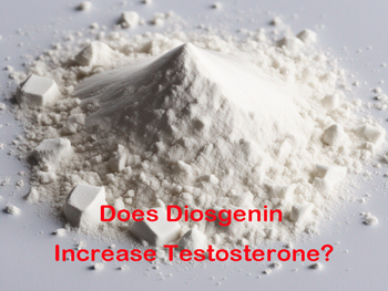 Does Diosgenin Increase Testosterone?